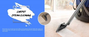 Carpet Steam Cleaning