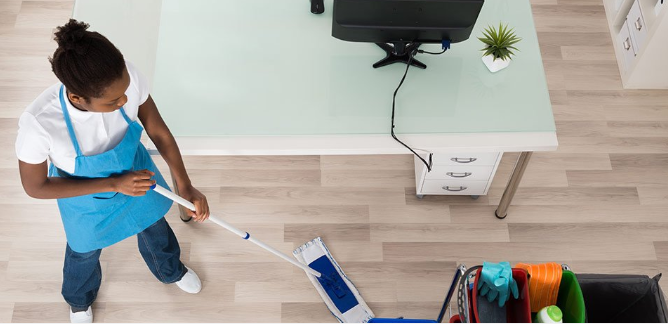 Cleaning Lady Agency