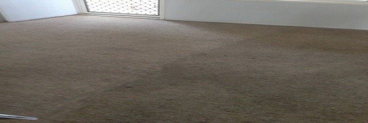  Full Steam Cleaning Services