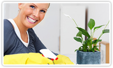 All in One Carpet cleaning
