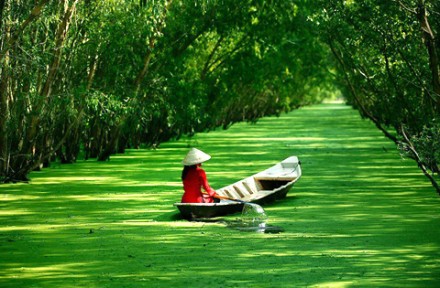 Great Value Holiday Packages in Vietnam
