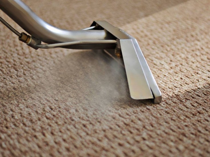 Carpet Mould Removal Services Liverpool