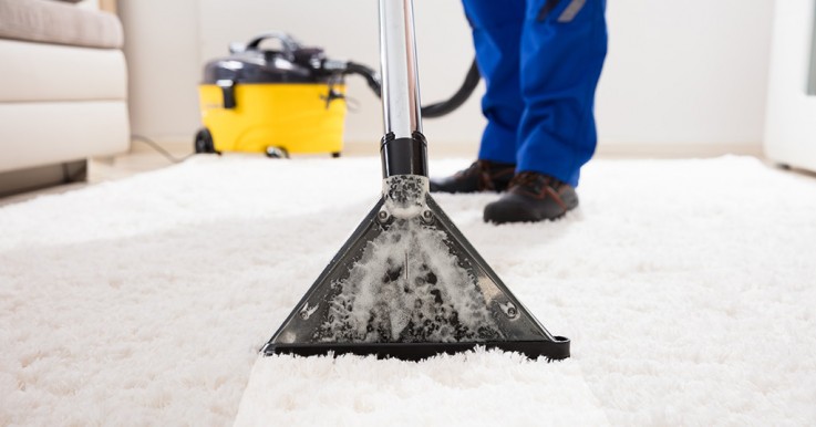 Carpet Mould Removal Services Liverpool