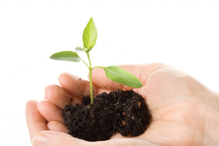 Cleantastic Cleaning Services