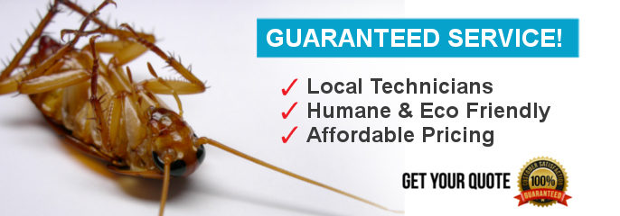 Back 2 New Cleaning Pest Control Toowoomba