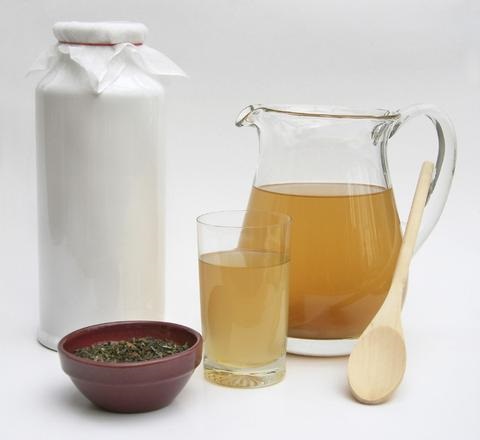Want a kombucha Making Kit 