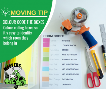 Furniture Removalists Melbourne - My Moovers