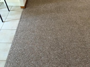 Get Carpet and Tile Cleaning Services with Cheap Prices in Newcastle