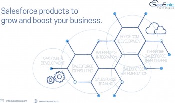 SaaSnic - Salesforce Consultants