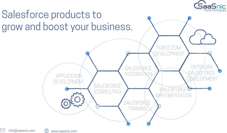 SaaSnic - Salesforce Consultants