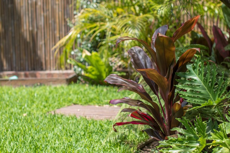 Landscapers Sydney