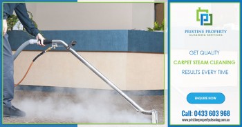 Cheap Carpet Steam Cleaning Services