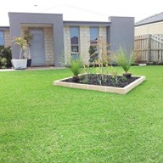 Hire Professional Landscaper in Mandurah to Beautify your Lawn