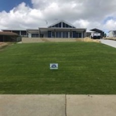 Hire Professional Landscaper in Mandurah to Beautify your Lawn