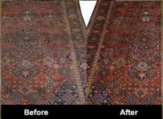 Newcastle Carpet & Tile Cleaning