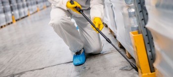 Pest Control Sydney