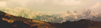 Website design specialists