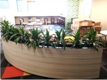 Plant Hire Melbourne | Inscape Indoor plant Hire