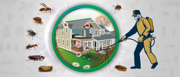 Commercial Pest Control Canberra