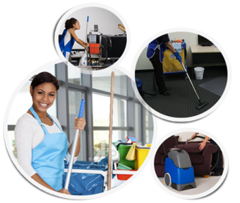 Drymaster Carpet Cleaning Services in Newcastle