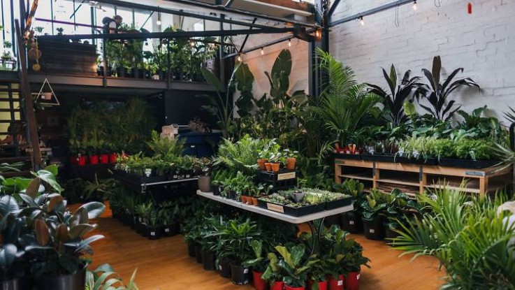 Melbourne - Huge Indoor Plant Warehouse 