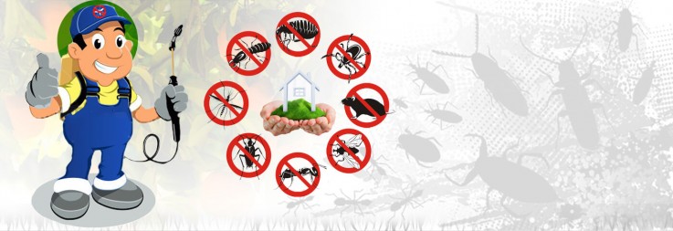 Extermination Services Melbourne