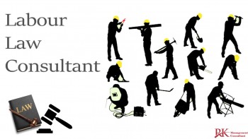 PF Consultant or EPF Consultant at Rk Management Consultant