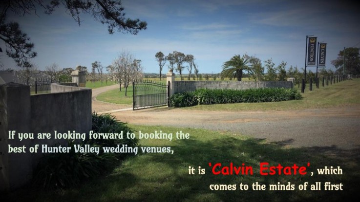 Beautiful Hunter Valley Wedding Venues in Australia