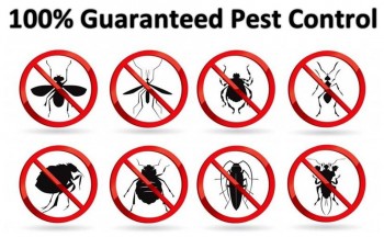Residential Pest Control Brisbane