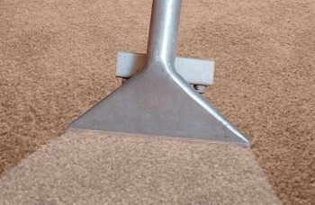 Searching for Carpet Steam Cleaner in Berwick ?