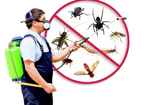 Commercial Pest Control Melbourne