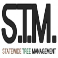 Statewide Tree Management