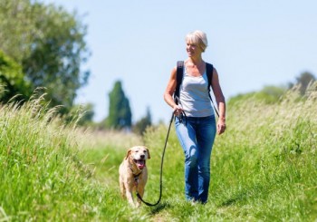 Bring Your Body Into Balance With The Help Of Bio-identical Hormones From AMC!