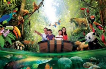 Explore the Beauty of Singapore with Our