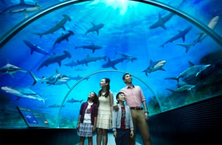 Explore the Beauty of Singapore with Our