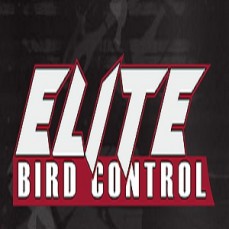 Elite Bird Control