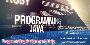 Quick and Instant Programming Assignment Help From Well Qualified Writers