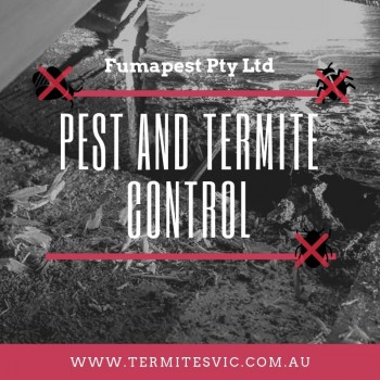 Pest Control Doncaster | Pest Control Glen Waverley