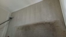 100% Professional Bond Cleaning Solution at Shine Bond Cleaning