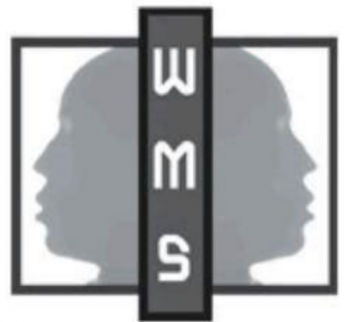 Whole Mind Strategies