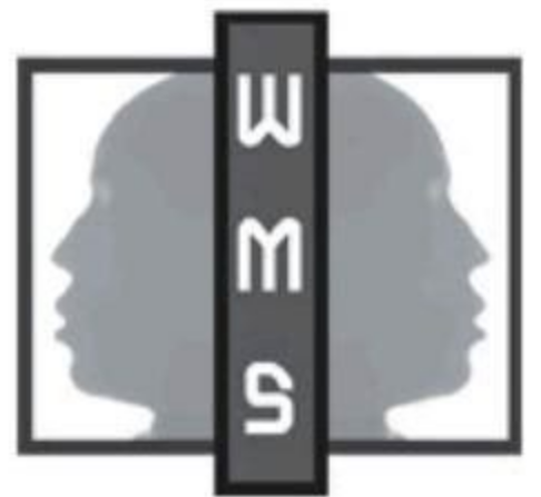 Whole Mind Strategies