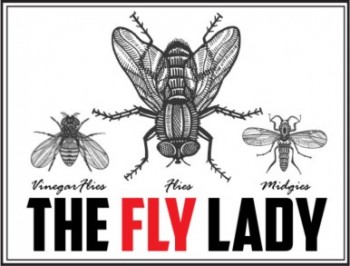 The Fly Lady