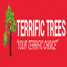 Terrific Trees
