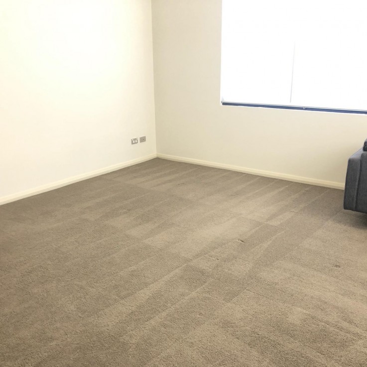 JAPANESE PROFESSIONAL CLEANING
