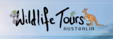Wildlife Tours