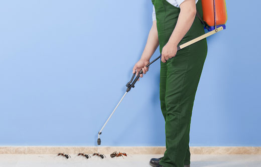 Marks Pest Control Perth