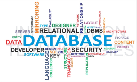 Database Development Company in Australi