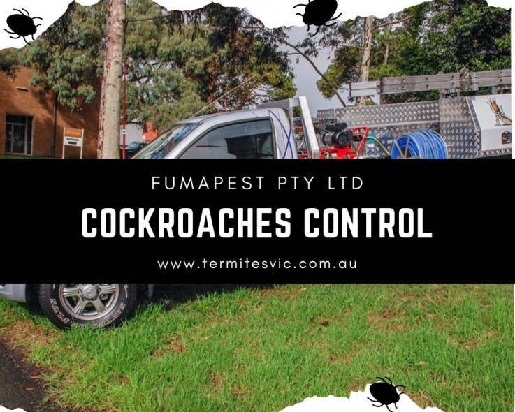 Cockroaches Control Greensborough | Cockroaches Control Ringwood