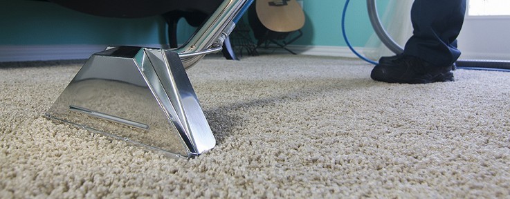 Opt  Bonzer services for carpet cleaning