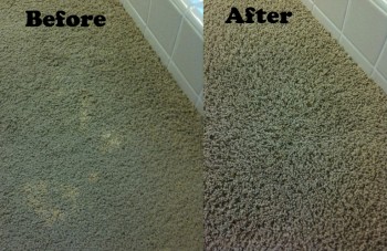 Bonzer carpet cleaning Knoxfield